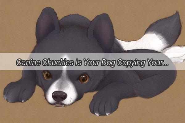 Canine Chuckles Is Your Dog Copying Your Laughter or Just Enjoying Life